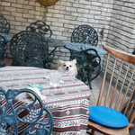 トリセン 赤坂本店