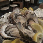 かき小屋 - 生牡蠣盛り合わせ（福井、兵庫、アメリカ）