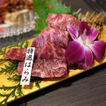 Miyazakigyuu Yakiniku Matsushin - 