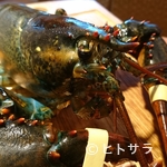 Itariandainingu Gurato - 本日の魚料理