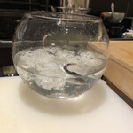 天ぷら 福たろう - 