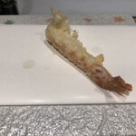 天ぷら 福たろう - 