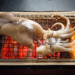 Squid dried overnight