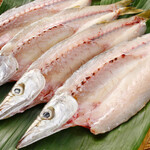 おんふりーく - 