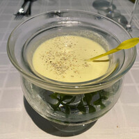 サンシャイン クルーズ・クルーズ - 