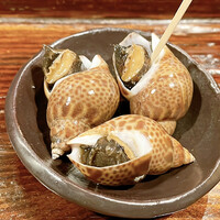 江戸心 山ぼうし - 