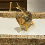 日本橋 蕎ノ字 - 天竜川の鮎