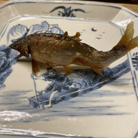 赤坂 菊乃井 - 稚鮎