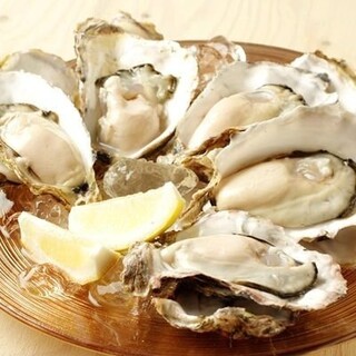 [Overturning the all-you-can-eat concept❗️] Enjoy all-you-can-eat extremely fresh Oyster
