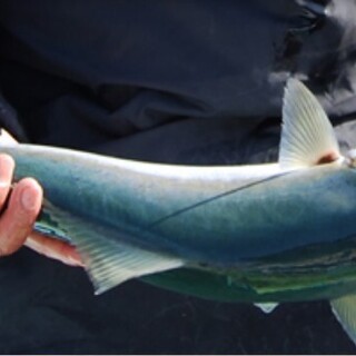 一本釣りへのこだわり