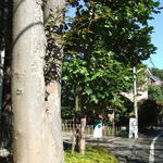 オーブン・ミトン カフェ - 