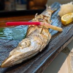 旬魚菜 しら川 - 