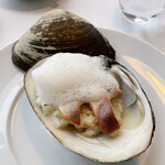 モリエール モンターニュ - 