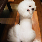 旬采 - You saw Mr.President passing by an hour ago!!