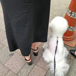 旬采 - ちゃっかり！