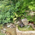 炭焼地鶏 山蔵 - 