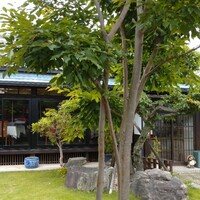 向日葵 - 築120年の古民家