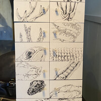 Installation Table ENSO L'asymetrie du calme - 