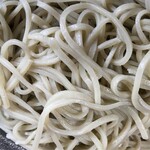 手打ちそば処沢正庵 - 田舎蕎麦