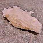 すし みむろ - 槍烏賊