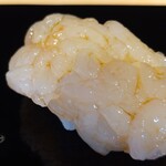 立喰 鮨となり - 白海老