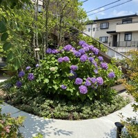 ラ メゾン ヒトトキ - 
