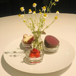 ラ・ヴァガボンド - カモミール、レンブ、さくらんぼ、ビーツ