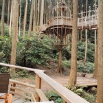 森のカフェ 緑の詩 - ツリーハウステラス
