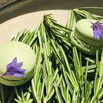 ラ・ヴァガボンド - マカロン