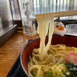 Kuroshio Udon - 手切り感があって食感は良かったです。