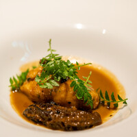 ヒカリヤ ニシ - 2022.5 クネル / クリュスタッセ / モリーユ