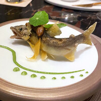 六花 - 長野県産泳がし天龍鮎 唐墨