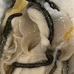 くらのあかり - 