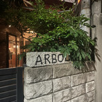 ARBOL - 