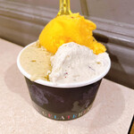 ジェラテリア アクオリーナ - 