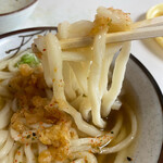 さぬきうどん - うどん定食