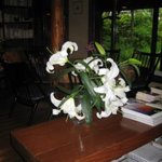 由布院 玉の湯 - フロントロビー