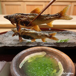 御料理 寺沢 - 鮎の塩焼を蓼酢とともに