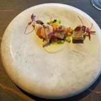International cuisine subzero - 