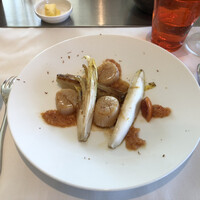 Benoit Alain Ducasse - 