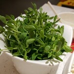 海底撈火鍋 - 豆苗のアップ