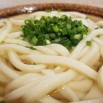 讃岐うどん 條辺 - かけ。