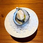 ドンブラボー - 