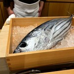 勢麟 - 加工無しの番長鰹 !! こんな目の色は見たことが有りません。絶対コッチ見てる・・・大切にいただきますm(__)m