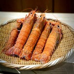 勢麟 - これまた巨大なアカザ海老。