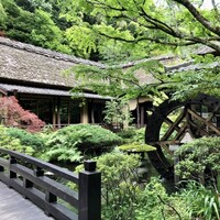 うかい鳥山 - 