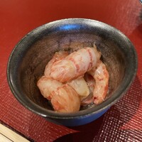 霜止出苗 - 