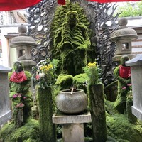 焼肉 きたん 法善寺 - 