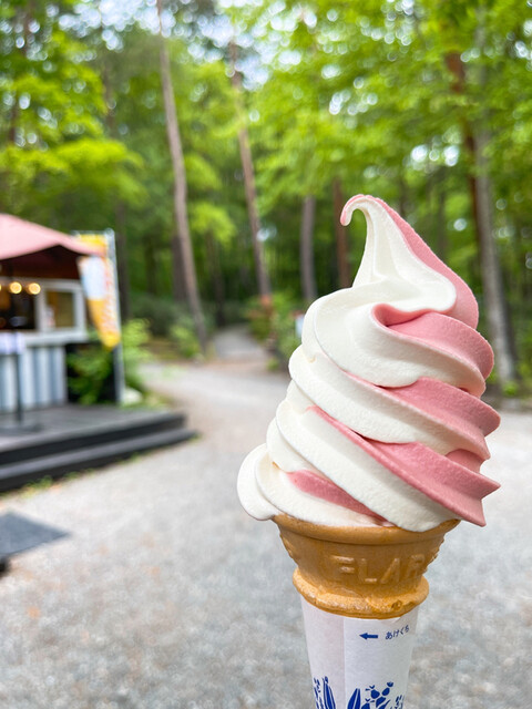 ぽてとくりーむ どんぐり （Donguri） - 北杜市その他/ソフトクリーム | 食べログ