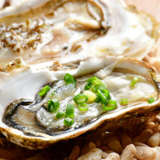 Armor ガレットと生簀のあるフレンチ_1